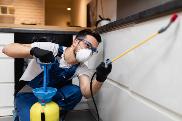 Best Pest Removal Services  in Minturn, CO