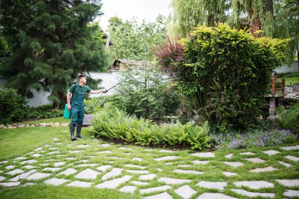 Pest Prevention Services in Minturn, CO
