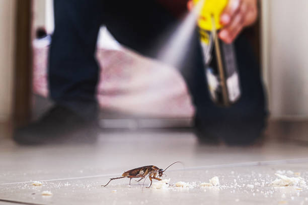 Best Residential Pest Control  in Minturn, CO