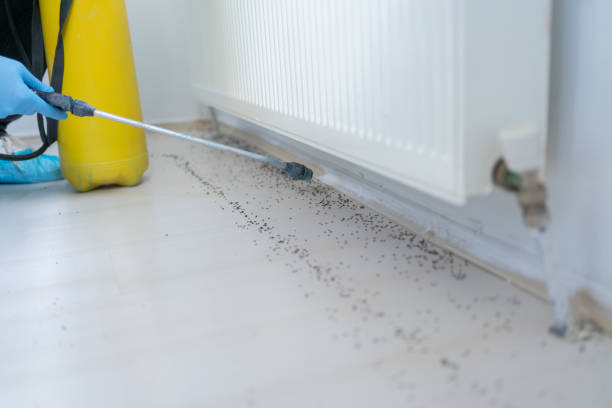 Best Pest Control for Restaurants  in Minturn, CO