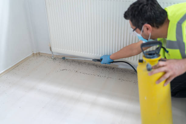 Pest Control for Restaurants in Minturn, CO